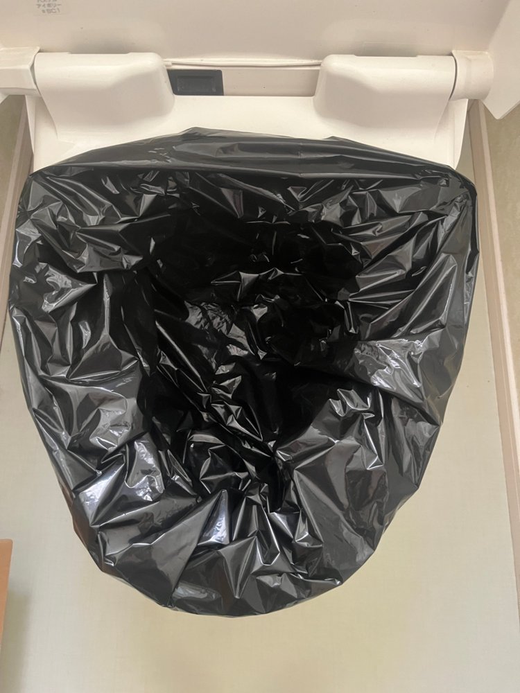 便器に黒い排泄袋をかぶせたところ